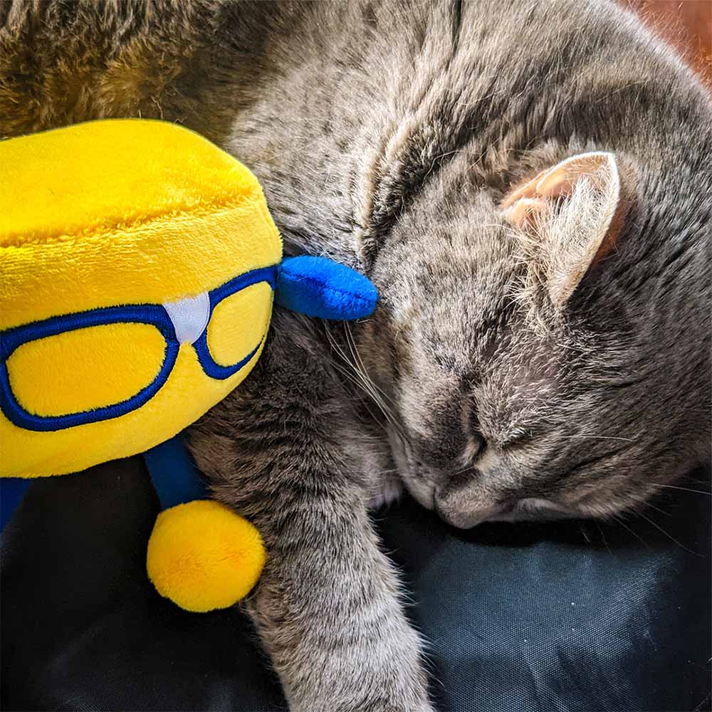 Curdis with his cat: View more on instagram